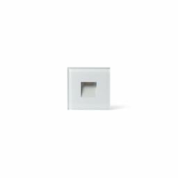 Dart Outdoor LED Recessed Wall Light White 2W 2700K IP65