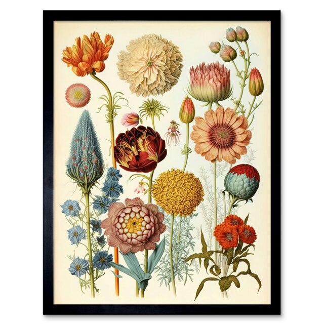 Botanical Ernst Haeckel Style Plant Watercolour Framed Wall Art Print