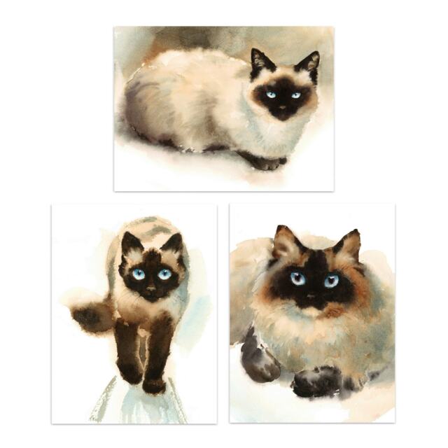 Set Of 3 Blue Eyed Ragdoll Cats Watercolour Wall Art Prints Living Room Paintings 12X16 Inch