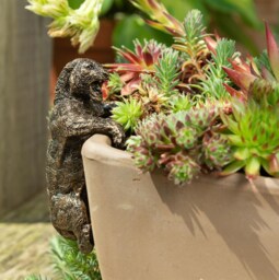 Tiger Plant Pot Hanger - L11 x W6 x H5.5 cm Bronze