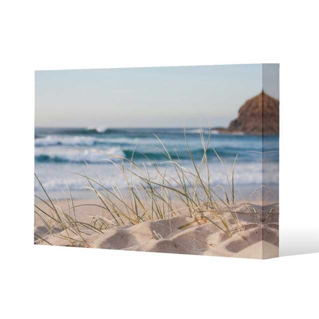 dune grass in Australia with turquoise surf waves of the pacific ocean (Canvas Print) Cream