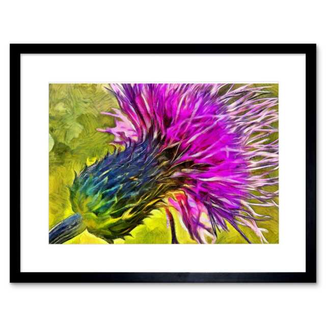 "Scottish Thistle Flower Vibrant Home Decor 12x16"" Framed Wall Art Print"