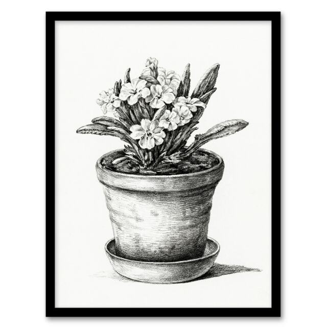 Jean Bernard Framed Wall Art Potted Flowering Plant Pencil Drawing Home Décor