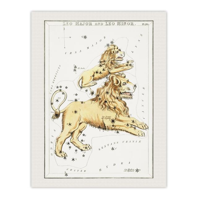 "Vintage Leo Constellation Illustration Hall Wall Art Poster Print 12X16"""