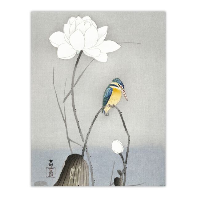 "Kingfisher With Lotus Flower Vintage Japan Wall Art Print Koson 12x16"""