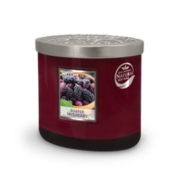 Twin Wick Ellipse Soy Wax Candle - Simply Mulberry