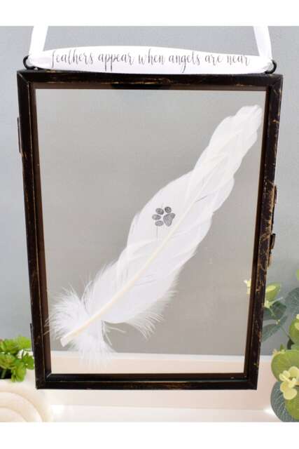 In Memory of Pet Cat Dog. Paw Print Real feather Floating Frame