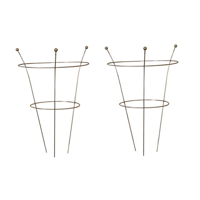 Pack of 2 Tom Chambers Herbaceous Bare Rusted Steel Garden Plant Support Medium 54cm x 40cm