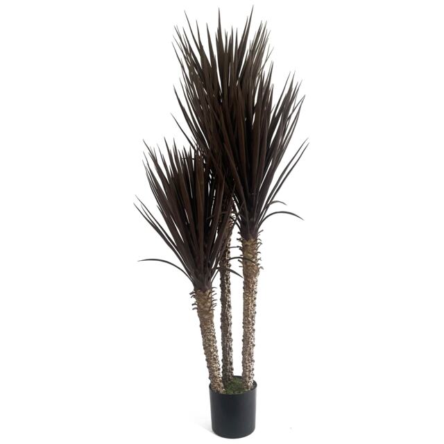 155cm UV Resistant Artificial XL Triple Yukka Tree Plant Spiky Tree Triple Dark Brown 5ft