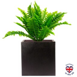 Square Box Black Light Concrete Garden Planter H25 L25 W25 cm, 16 ltrs Cap.