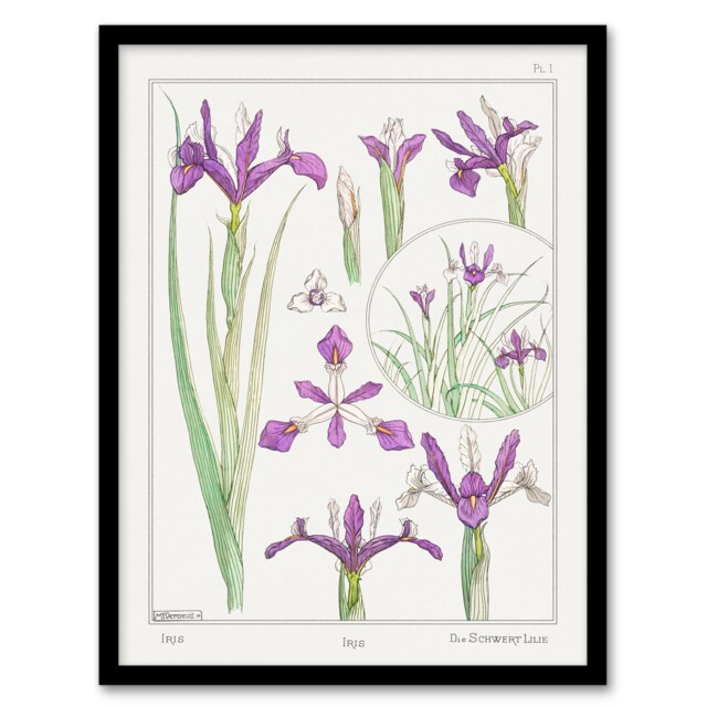 Maurice Pillard Verneuil Framed Wall Art Print Purple Iris Flower Home Décor