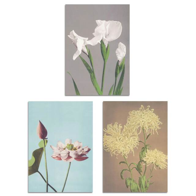 Set of 3 Vintage Japanese Floral Botanical Flowers A3 Wall Art Prints Multi