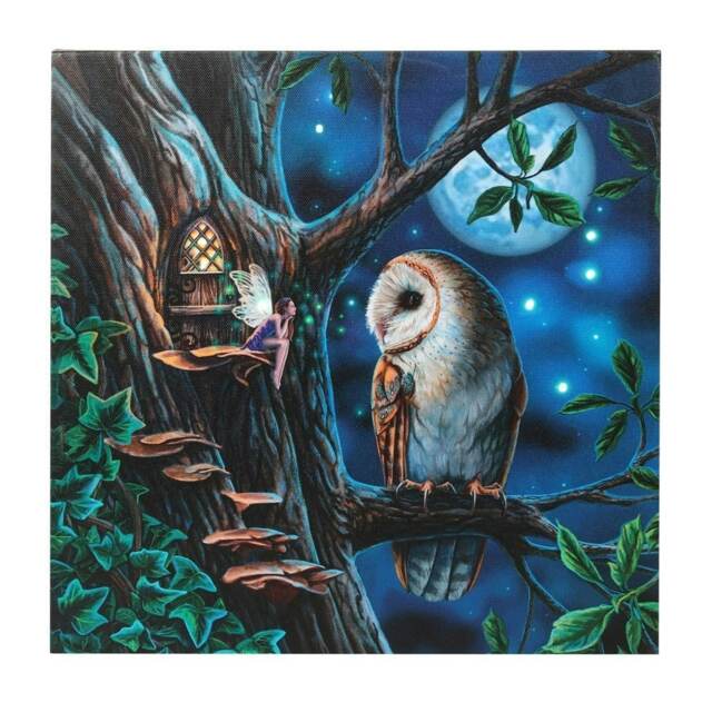 Lisa Parker Fairy Tales Light Up Canvas Framed Plaque - Blue/Brown/Green - One Size