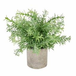 Rosemary Plant in Stone Effect Pot Artificial Plant - Plastic - L24 x W24 x H24 cm - Green