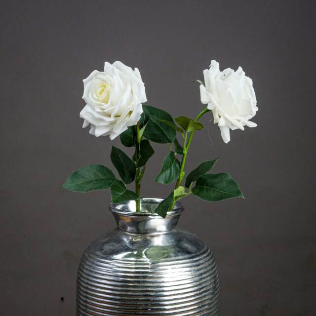 Hill Interiors Garden Rose Artificial Flower - White/Green - One Size