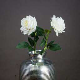 Hill Interiors Garden Rose Artificial Flower - White/Green - One Size