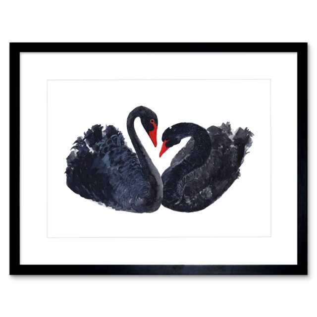"The Black Swans Red Beak Watercolour White 9x7"" Black Framed Wall Art Print"