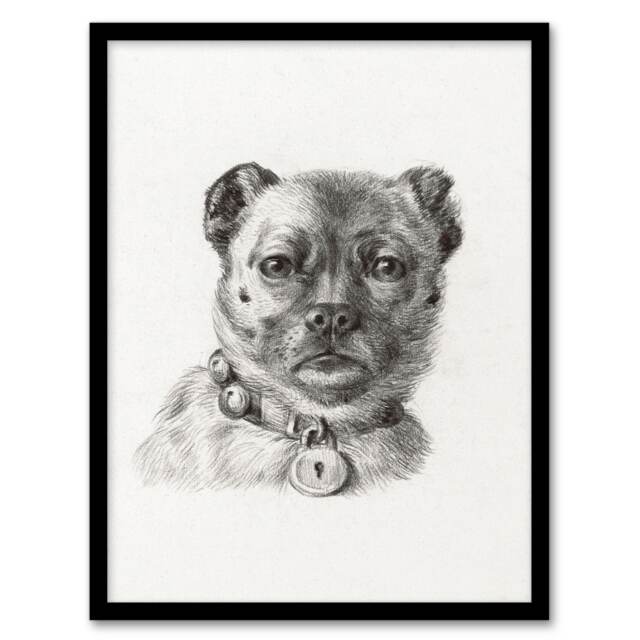 Jean Bernard Framed Wall Art Dog head with a Collar Pencil Drawing Home Décor