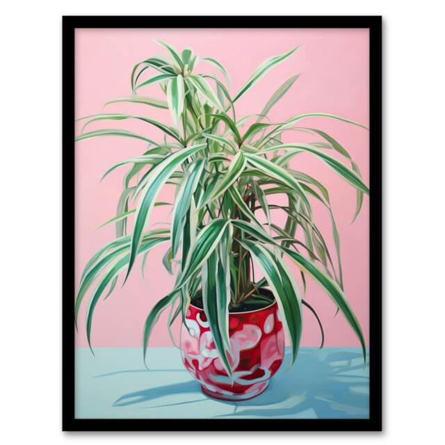 Spider Plant Lover Pink Green Home Decor Black Framed Wall Art Print A4