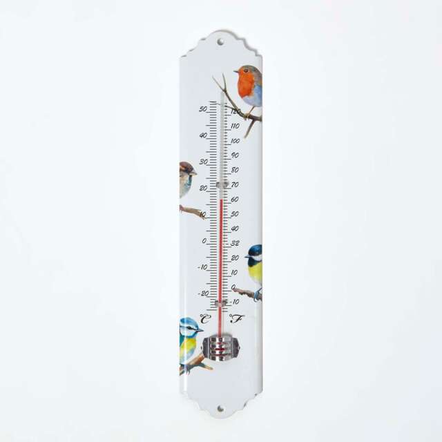 Homescapes Outdoor Thermometer with Bird Design