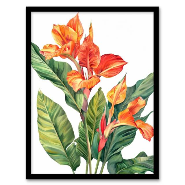 Canna Lily Flower Bright Botanical Living Room Black Framed Wall Art Print A4
