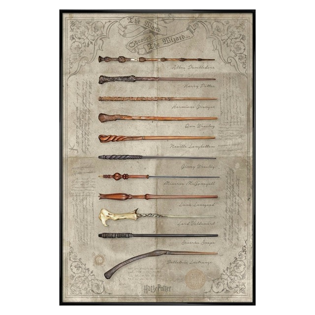 Gloss Black Framed Harry Potter The Wand Chooses The Wizard Maxi Poster Multi