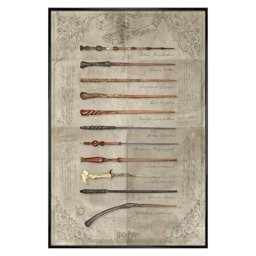 Gloss Black Framed Harry Potter The Wand Chooses The Wizard Maxi Poster Multi