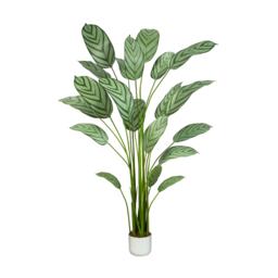 Artificial Plant Bird of Paradise Tree Indoor House plant 160cm Multi Multi