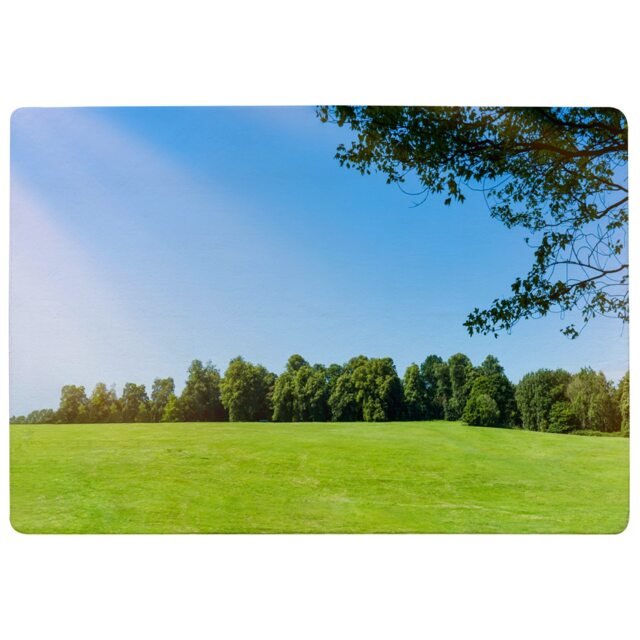 Grass Field With Forest Trees And Environment Public Park With Sun Rays Designer Rug Multi