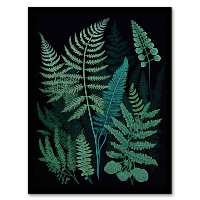 Elegant Fern Fronds Botanical Nature Foliage Leaf Black Framed Wall Art Print A4