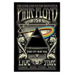 Gloss Black Framed Pink Floyd (1973) Maxi Poster Multi