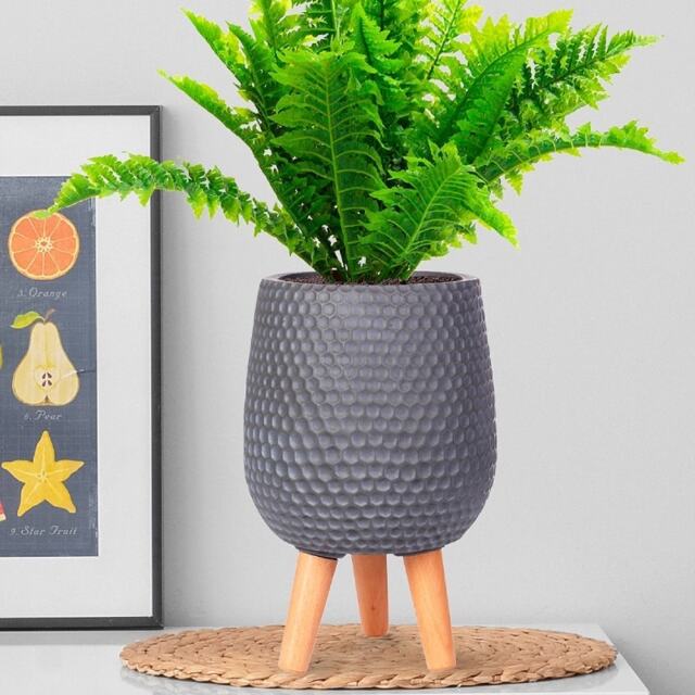 Honeycomb Style Green Grey Planter with Legs, Round Indoor Plant Pot Stand for Indoor Plants by Idealist Lite D21 H34 cm, 6L