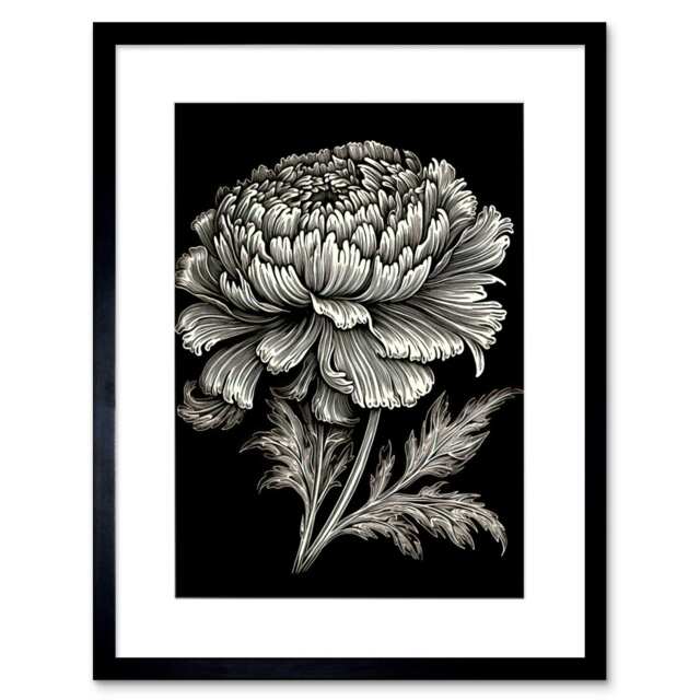 "A Single Marigold Flower Black White 9x7"" Black Framed Wall Art Print"