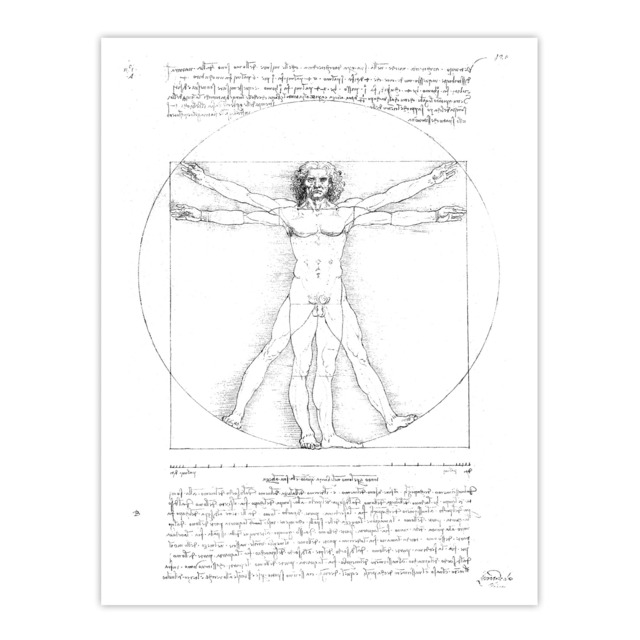 Vitruvian Man Black and White da Vinci Vintage Huge Wall Art Print 18X24 In