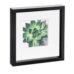 "Nicola Spring 10 x 10"" Photo Frame - Black/White Mount - 3D Photo Frame Picture Frame Box Portrait Display Case (53 x 53cm)"