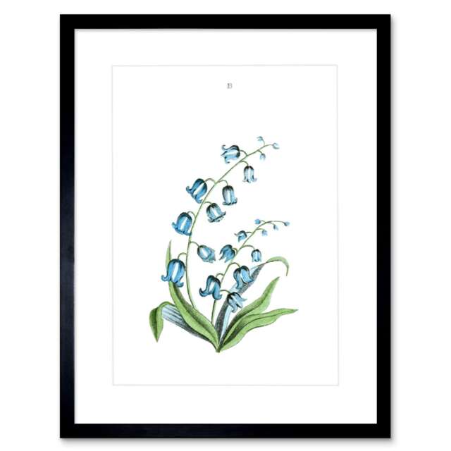 "Bluebells Flower Bright Floral Botanical Plant Lover Gift 9x7"" Black Framed Wall Art Print"