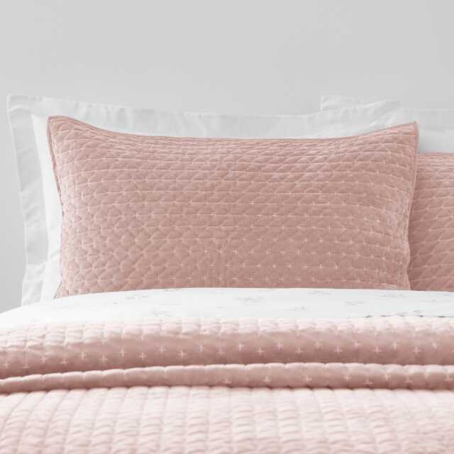 Bianca Attica Velvet Embroidered Pillow sham Pair Pink Standard