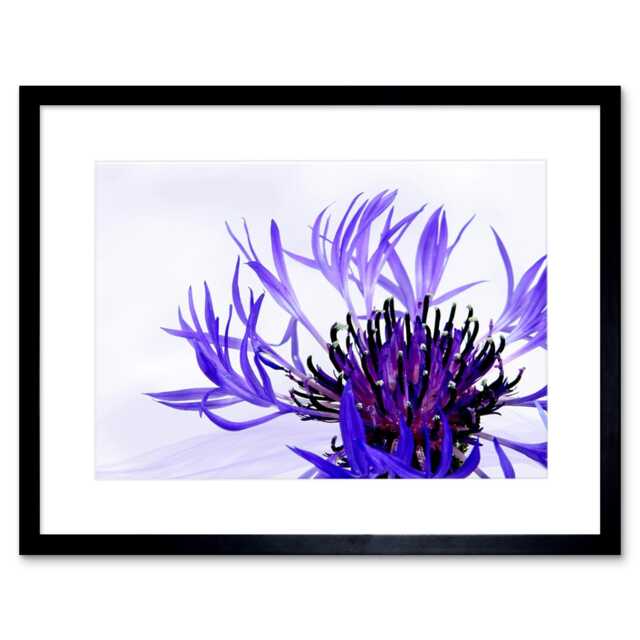 "Purple Flower Vibrant 9x7"" Black Framed Wall Art Print"