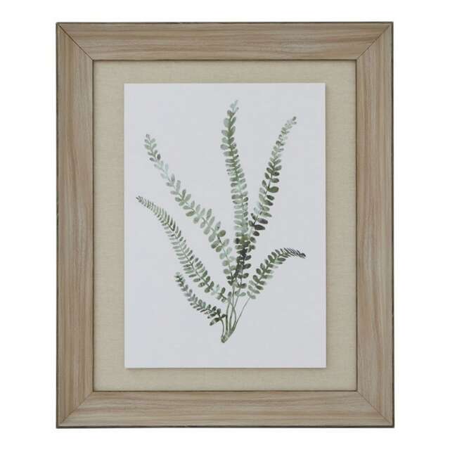 Watercolour Delicate Fern in Frame - Washed Wood - L5 x W50 x H60 cm - Brown Brown Not provided