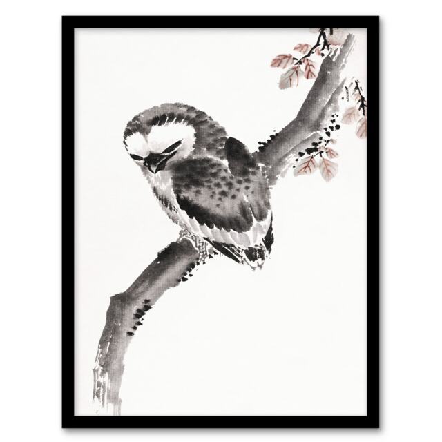 Katsushika Hokusai Framed Wall Art Print Owl 1841 Album Of Sketches Home Décor