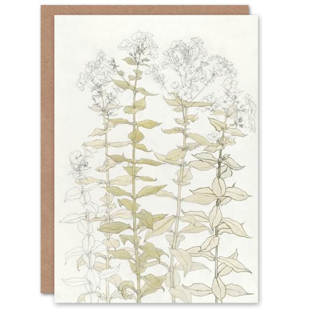 Julie de Graag Art Card Phlox Colour Sketch of Flowers