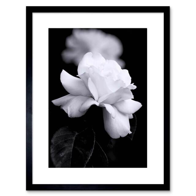 "Photo Nature Black White Rose Petal Flower 9x7"" Black Framed Wall Art Print"