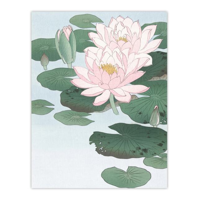 "Water Lily Pads Pink Flower Bloom Japanese Wall Art Print Koson 12x16"""