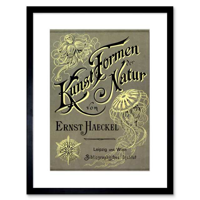 "Ernst Haeckel Kunstformen Der Natur Cover Page 9x7"" Black Framed Wall Art Print"