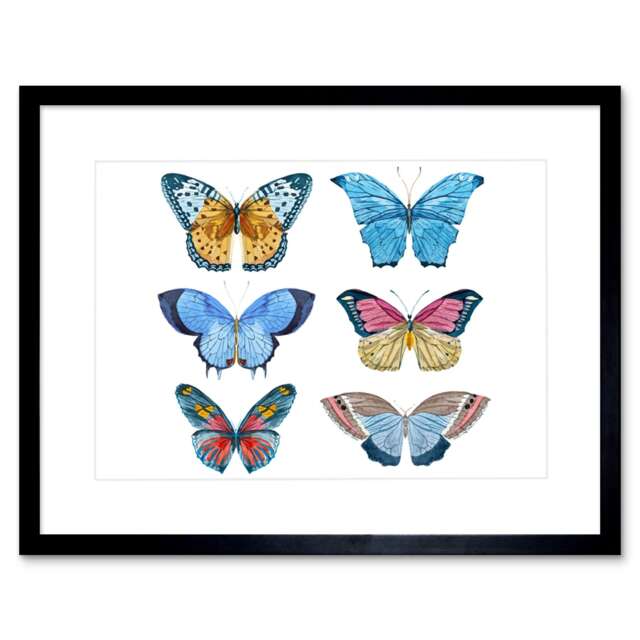"Colourful Butterflies Insect Study Watercolour 9x7"" Black Framed Wall Art Print"