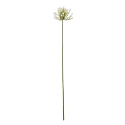 Hill Interiors Agapanthus Artificial Flower Spray - Cream - One Size