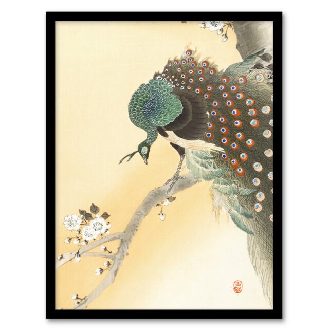 "Peacock On A Cherry Blossom Tree Retro Japan Framed Wall Art Print Koson 12x16"""
