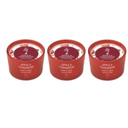 Pack of 3 Pan Aroma Apple & Cinnamon Coloured Jar Candle 85g