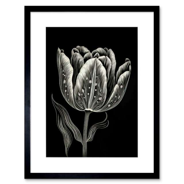 "Tulip Flower White Black Blind Contour Folk Art 9x7"" Black Framed Wall Art Print"