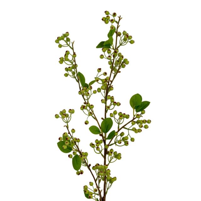 Hill Interiors Wintergreen Artificial Plant Green Green One Size 1